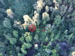 智利拉各斯Puerto Varas的住宅用地，Lago Todos Los Santos 163906，编号70111151