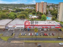 波多黎各Puerto RicoSan Juan的仓库，None 65 Avenida De Infanteria CONCORDIA GARDENS SHOPPING CENTER ANNEX BULDING AVENUE，编号77500189