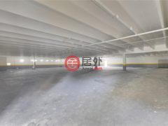 波多黎各Puerto RicoSan Juan的仓库，None 65 Avenida De Infanteria CONCORDIA GARDENS SHOPPING CENTER ANNEX BULDING AVENUE，编号77500189