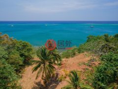 洪都拉斯海湾群岛Roatán的住宅用地，Beautiful Oceanfront Bluff Between West End & West Bay，编号78338279