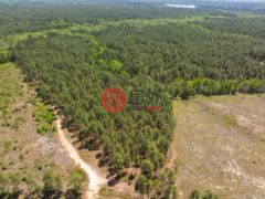 美国密西西比州Purvis的独栋别墅，None 703 AC +/- Purvis to Baxterville Rd.，编号77697984