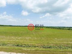 美国路易斯安那州巴西莱的住宅用地，None Tbd Trudell Lane，编号77687480
