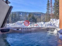 加拿大不列颠哥伦比亚省Sun Peaks的公寓，7005 MCGILLIVRAY LAKE，编号75529072