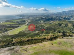 美国加州戈拉塔的公寓，100 N Dos Pueblos Canyon Road，编号77248685