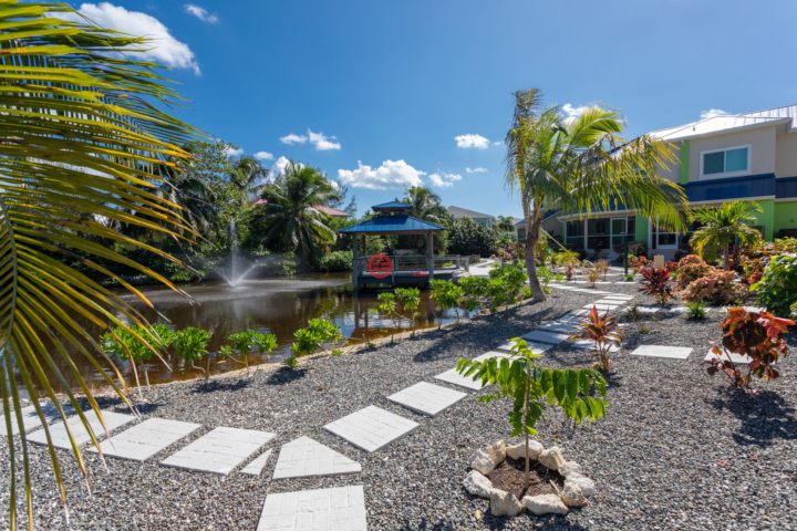 开曼群岛乔治城2卧3卫的联排别墅